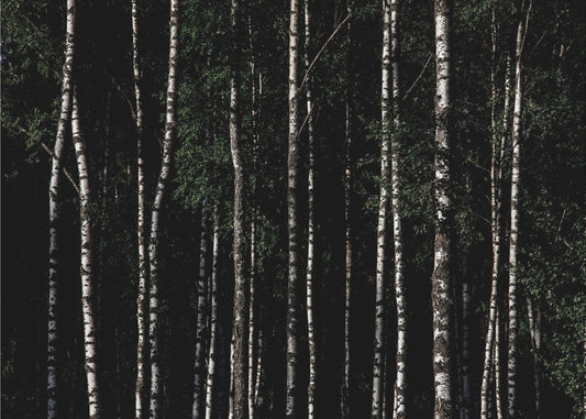 Irgendwo in Schweden 4 | Poster
