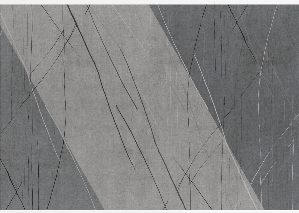 Abstrakte Linien auf Grau | Poster