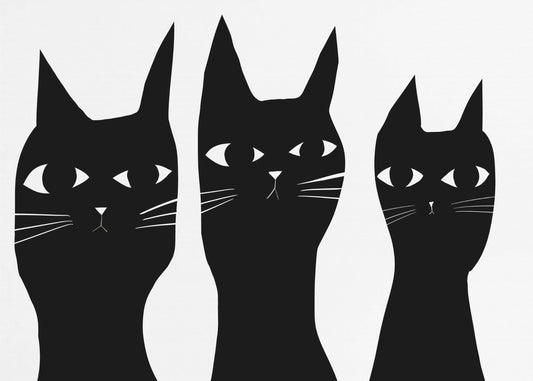 Drei schwarze Katzen spähen Katze | Leinwand