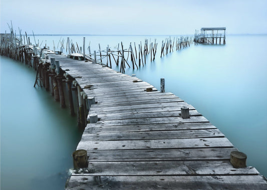 Carrasqueira II | Tapete