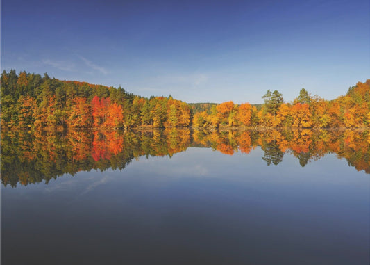 Herbst | Poster