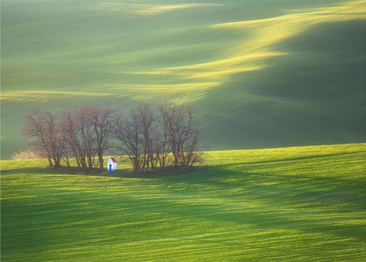 Felder... | Leinwand