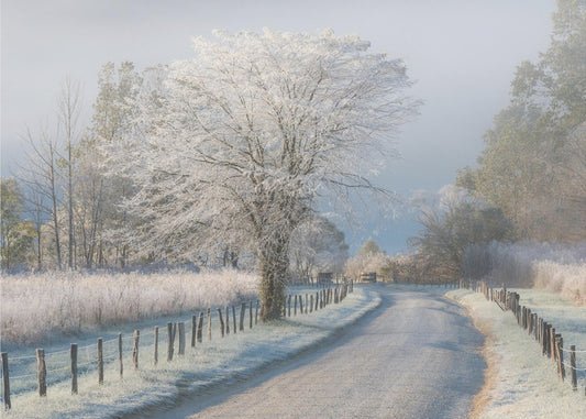 Ein frostiger Morgen | Hintergrundbild