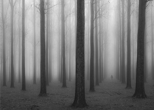 Im Nebel | Poster
