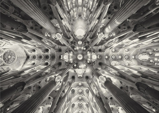Künstlicher Wald - Sagrada Familia | Poster