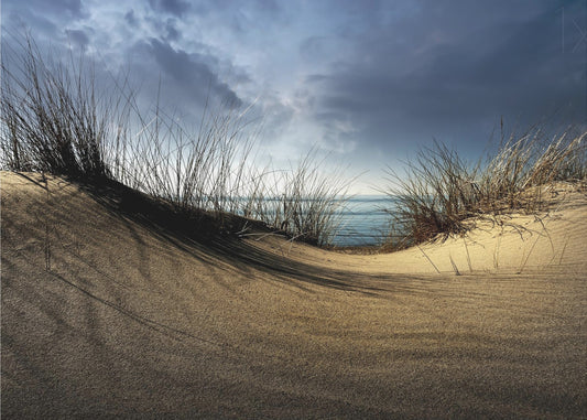Dunes........... | Canvas
