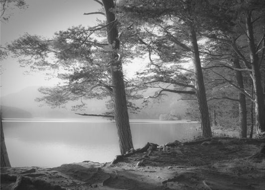 Loch an Eilein | Tapete