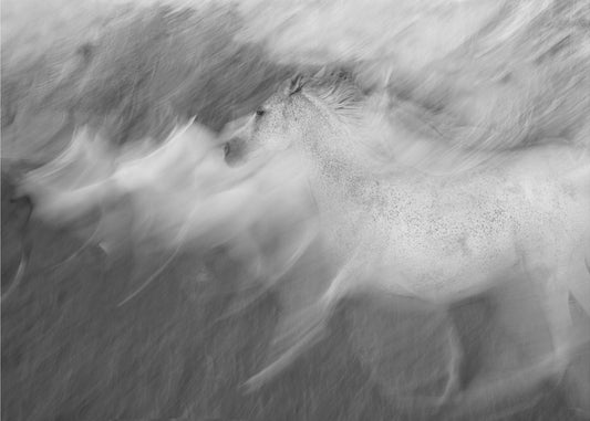 Mystic White | Tapete