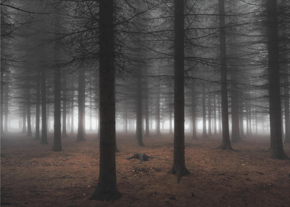 Stille | Poster