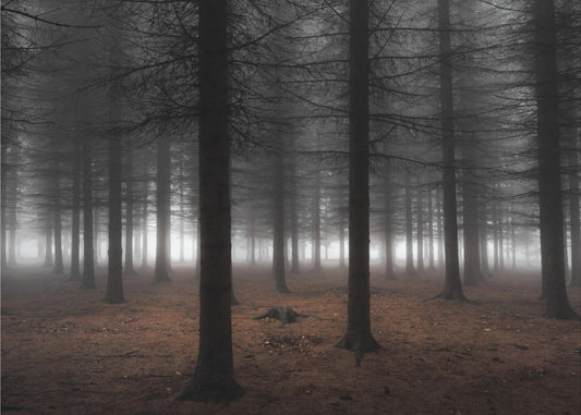 Stille | Poster