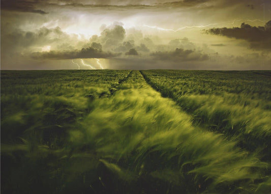 Journey to the Fierce Storm | Canvas