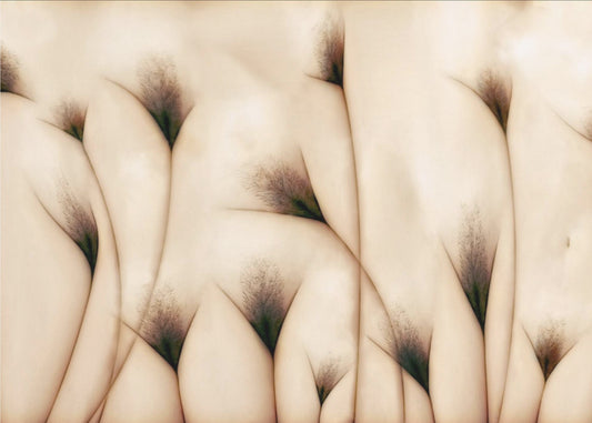 Vaginae Terram | Leinwand