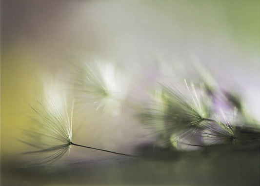 Am Morgen | Leinwand