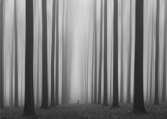 Labyrinth | Leinwand