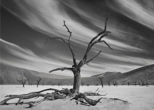 Der Vorgesetzte | Hintergrundbild