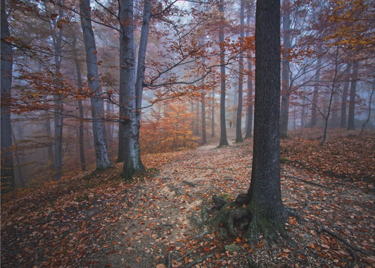Ich war verloren, ich wurde gefunden | Hintergrundbild