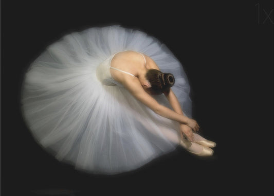 Eleganz | Leinwand