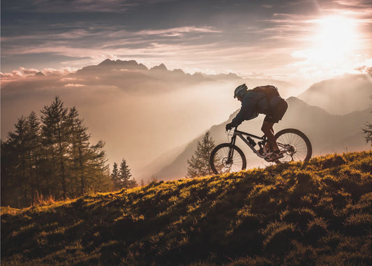 Radfahren in der goldenen Stunde | Poster