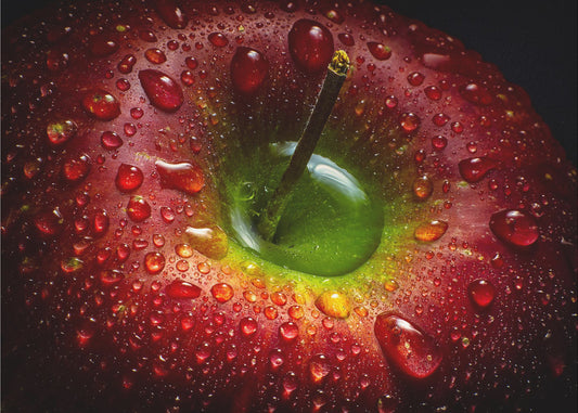 Roter Apfel | Leinwand