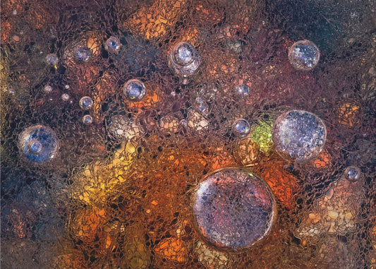 Winter über Herbst | Hintergrundbild