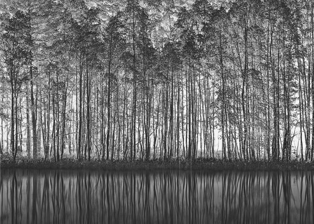 Pointillismus Natur | Tapete