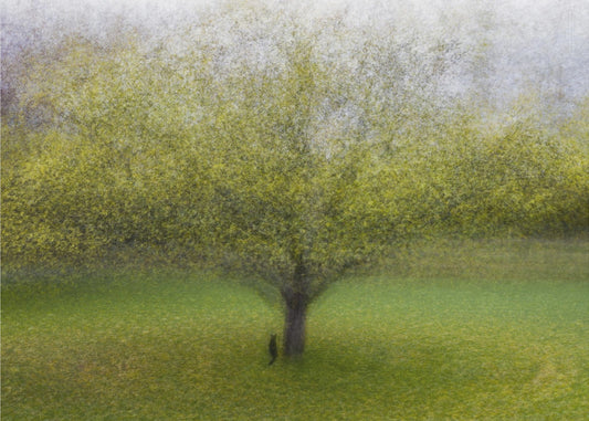 Die Katze am Baum | Leinwand