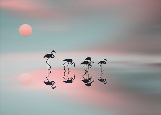 Flamingos-Familie. | Leinwand