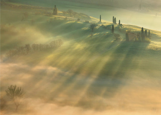 Nebel... | Tapete