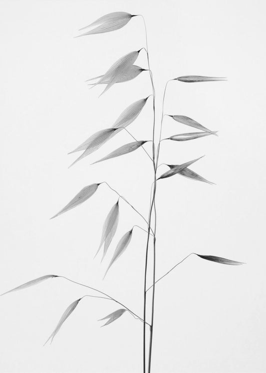 Schärfe der Natur | Leinwand