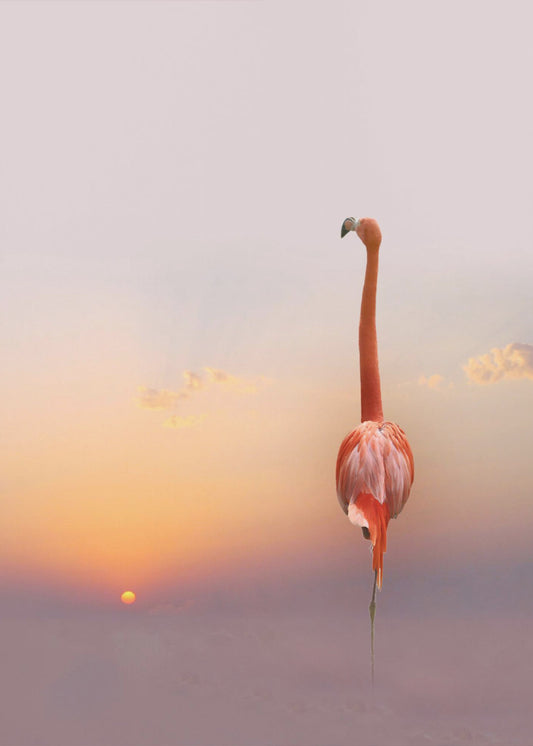 Sonnenuntergang ... | Poster