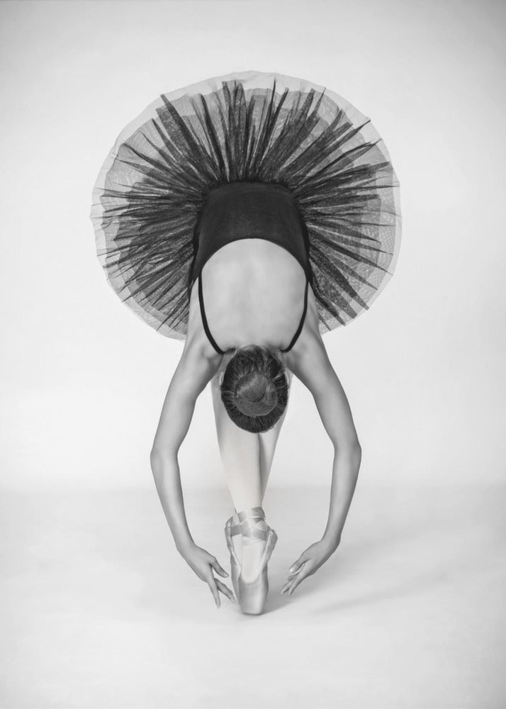 Balletttechnik | Poster
