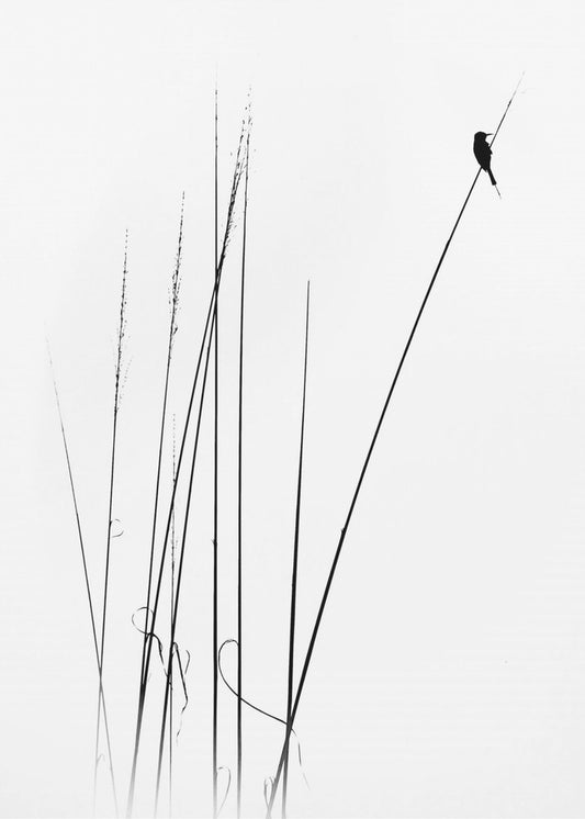 ein Sabbatical | Leinwand