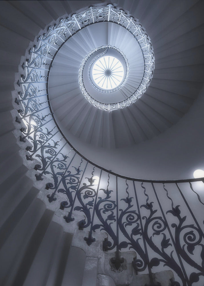 Tulip Stairs | Canvas