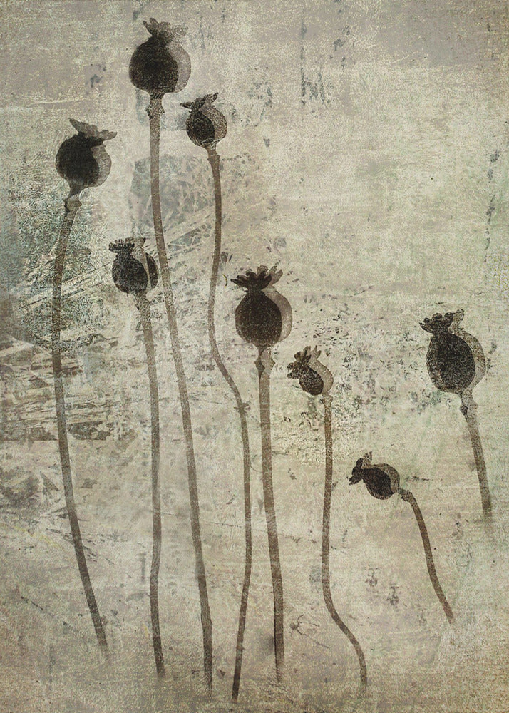 Mohnsetzlinge | Leinwand
