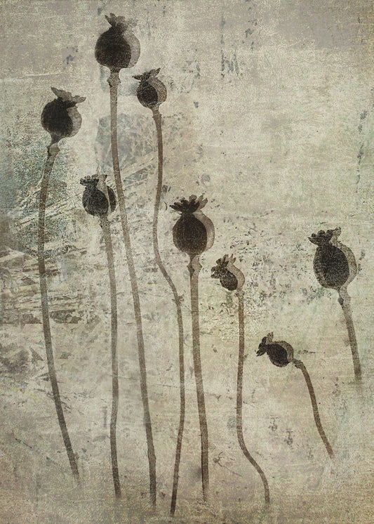 Mohnsetzlinge | Leinwand