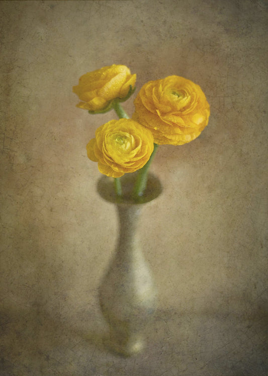 Gelbe Butterblumen | Poster