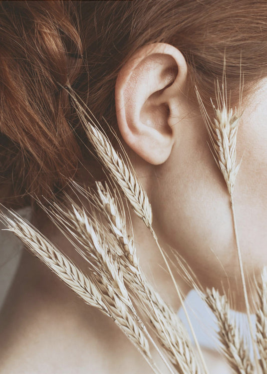 Rye | Canvas