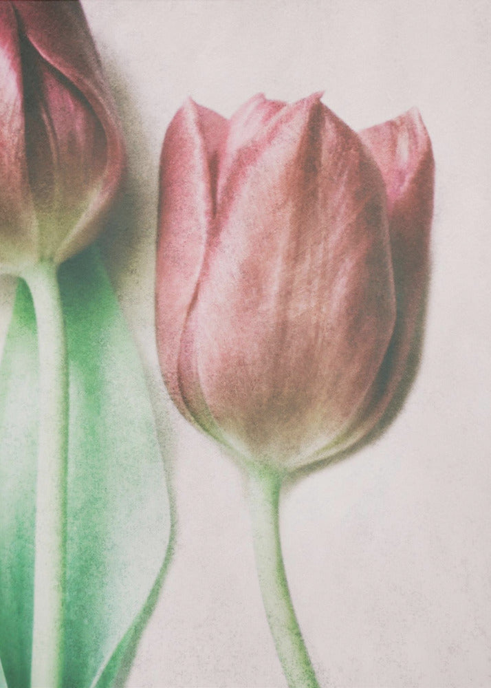 Die Frühlingsliebhaber | Poster