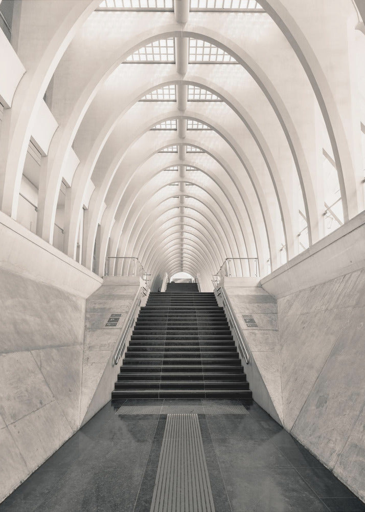 Inside Calatrava | Leinwand