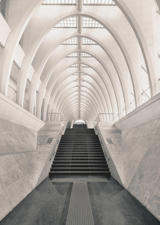 Inside Calatrava | Leinwand