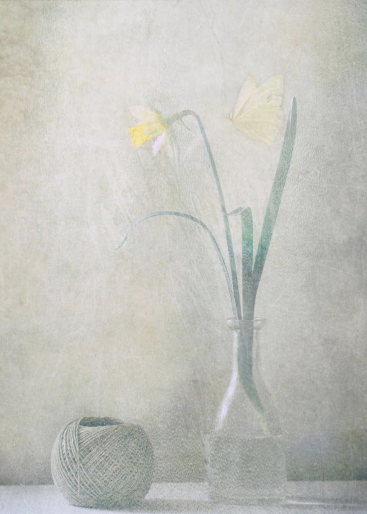 Frühling zu Hause | Leinwand