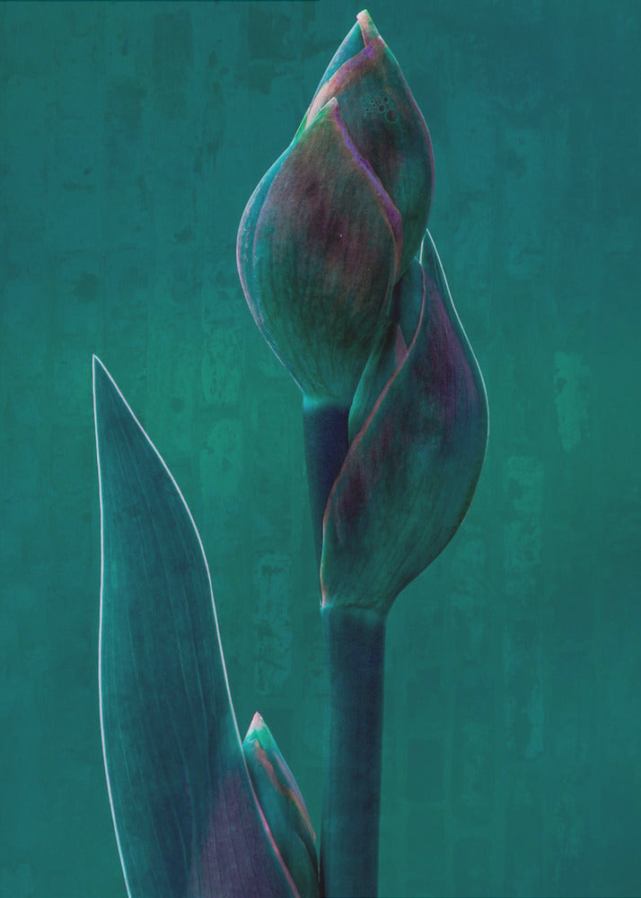 Blue charade. | Poster