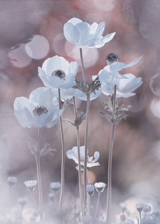 Alle Blumen aller Morgen sind in den Samen von heute | Leinwand