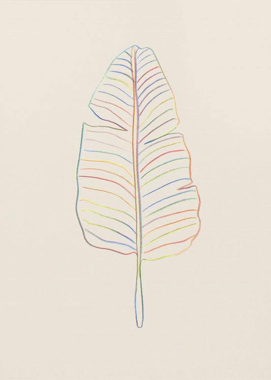 Bananen-Regenbogenblatt | Leinwand