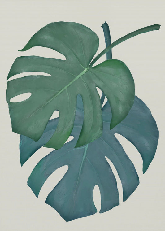Monstera Aqua 06 | Poster