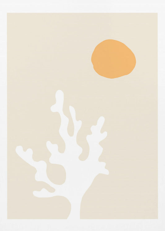Seetang in der Sonne | Poster