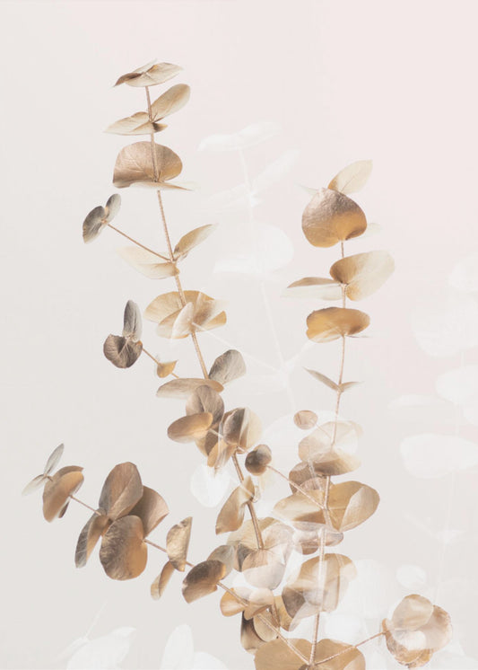 Eukalyptus Creative Gold 03 | Poster