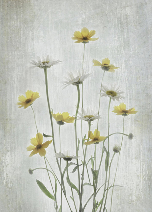 Sommerblumen | Leinwand