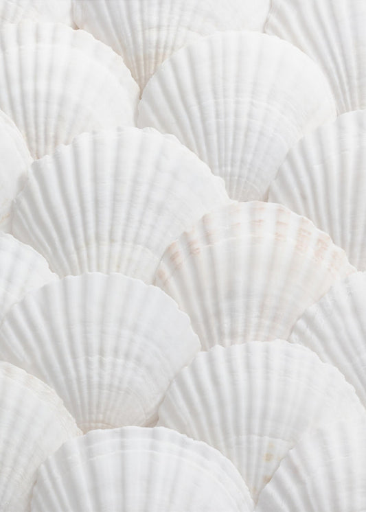 Shells_3 | Poster