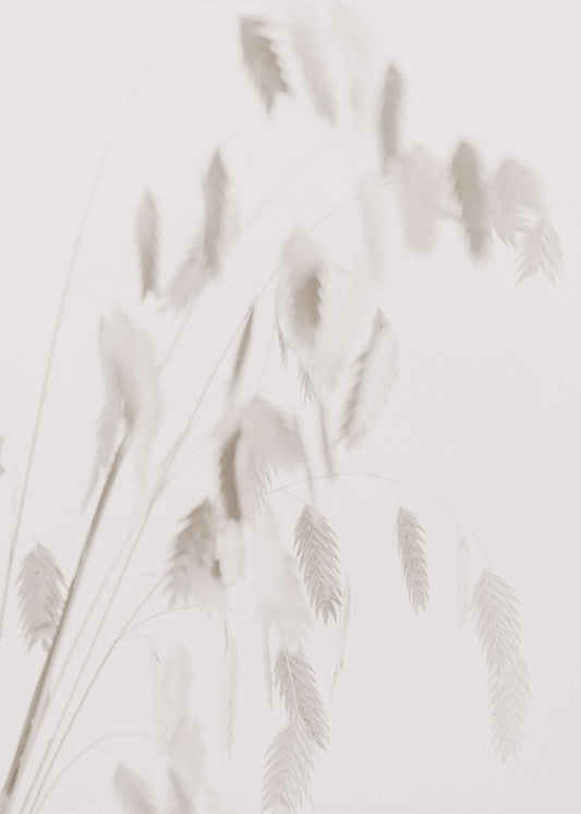 Getrocknetes Gras_rosa | Leinwand